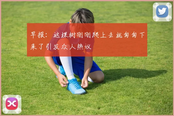 早报：这棵树刚刚爬上去就匆匆下来了引发众人热议